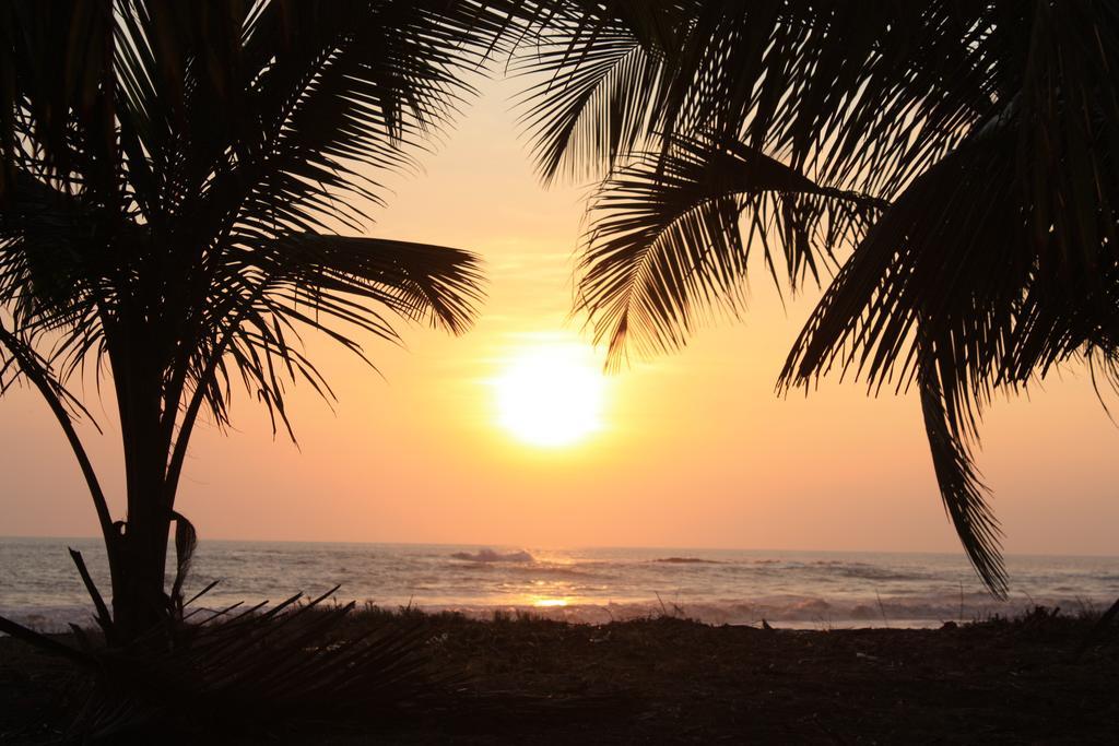 Mundo Milo Eco Lodge Paraiso  Ngoại thất bức ảnh