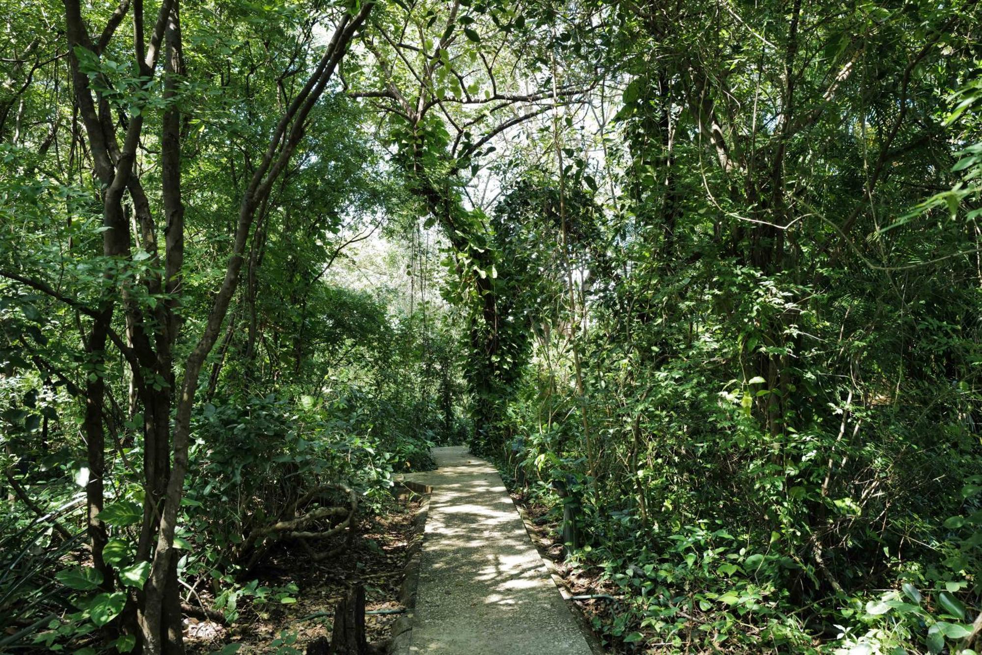 Mundo Milo Eco Lodge Paraiso  Ngoại thất bức ảnh