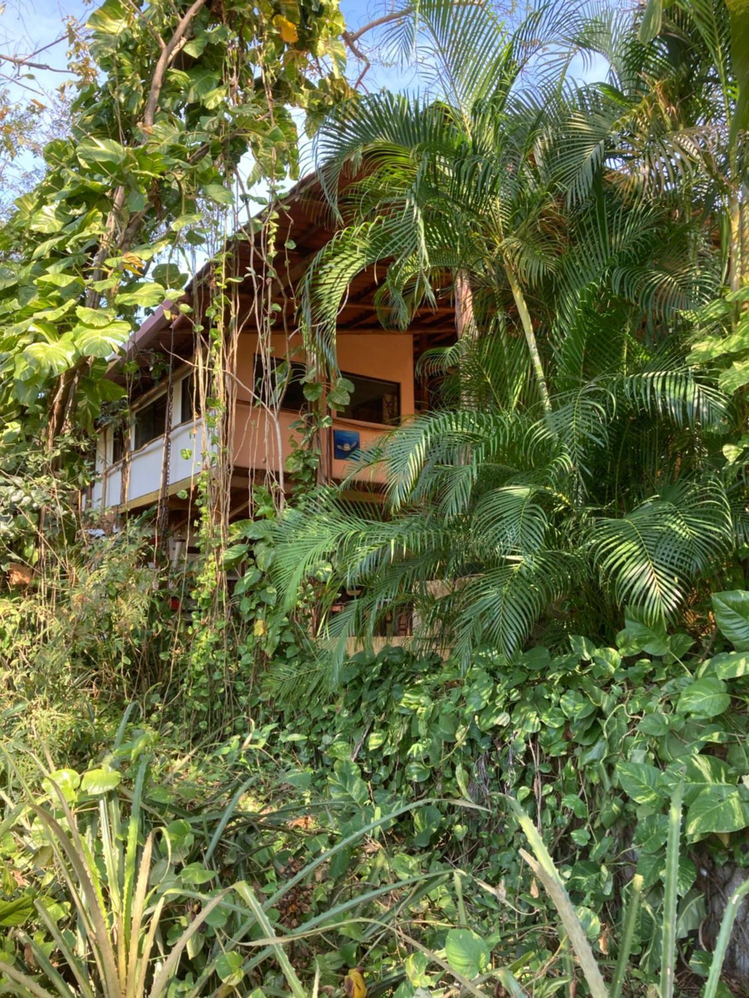 Mundo Milo Eco Lodge Paraiso  Ngoại thất bức ảnh