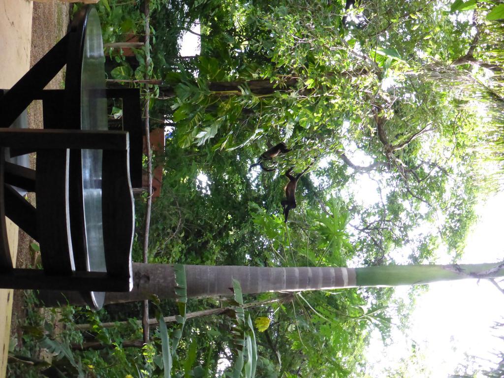 Mundo Milo Eco Lodge Paraiso  Ngoại thất bức ảnh