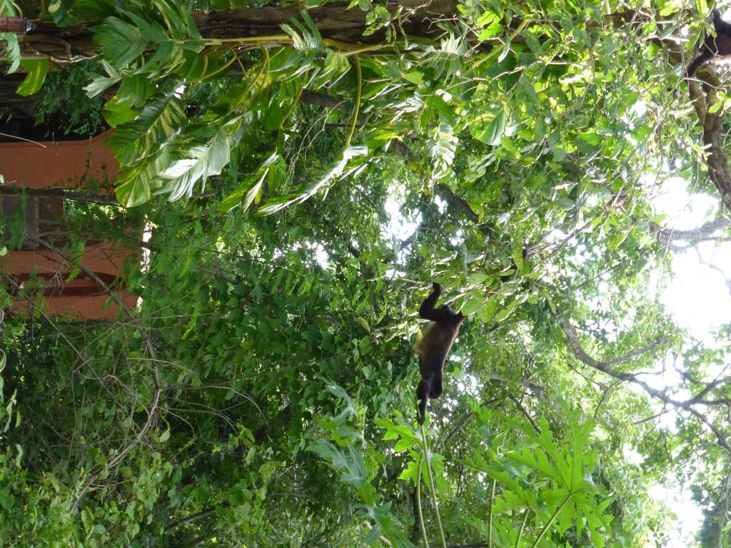 Mundo Milo Eco Lodge Paraiso  Ngoại thất bức ảnh