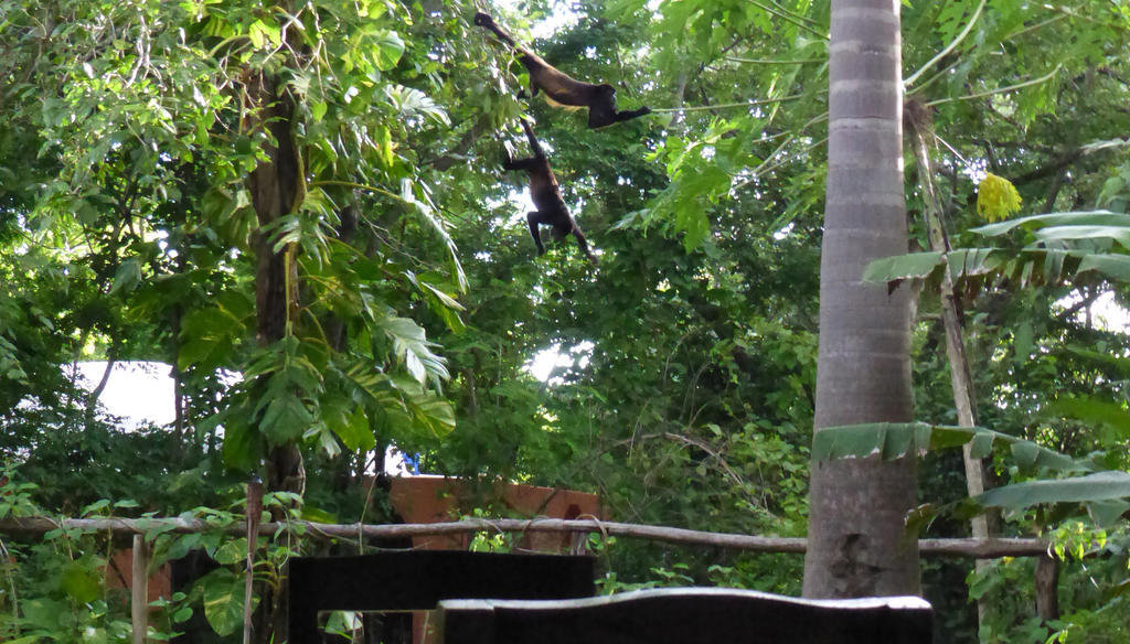 Mundo Milo Eco Lodge Paraiso  Ngoại thất bức ảnh